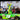 JH Designs Kyle Busch 2011 CWTS #18 Nos Energy Charged Citrus (Charlotte Win) 1:24 Racecar Decal Set
