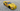 j0bszZMkZ6.png